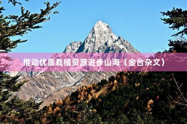 推动优质栽植资源进步山海（金台杂文）