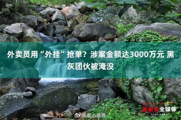 外卖员用“外挂”抢单？涉案金额达3000万元 黑灰团伙被淹没