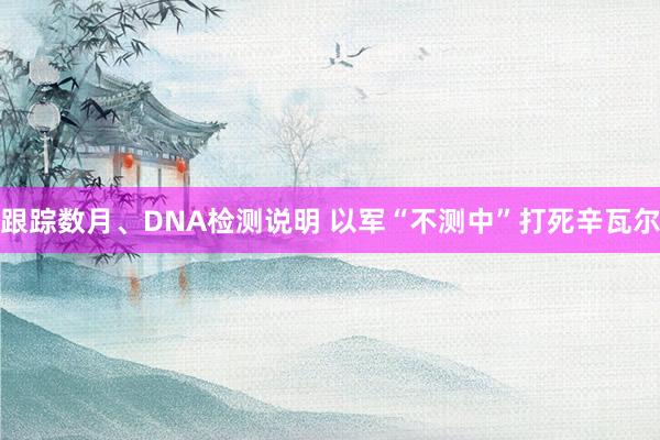 跟踪数月、DNA检测说明 以军“不测中”打死辛瓦尔