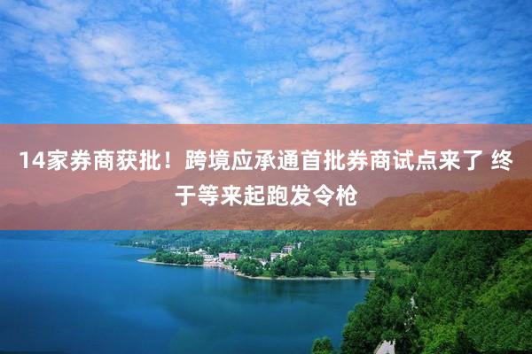 14家券商获批！跨境应承通首批券商试点来了 终于等来起跑发令枪