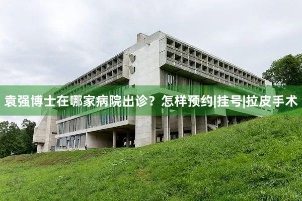 袁强博士在哪家病院出诊？怎样预约|挂号|拉皮手术