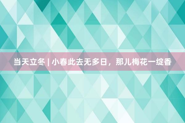 当天立冬 | 小春此去无多日，那儿梅花一绽香