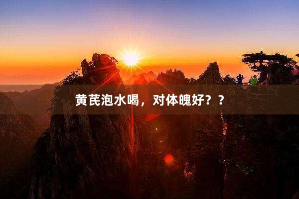 黄芪泡水喝，对体魄好？？